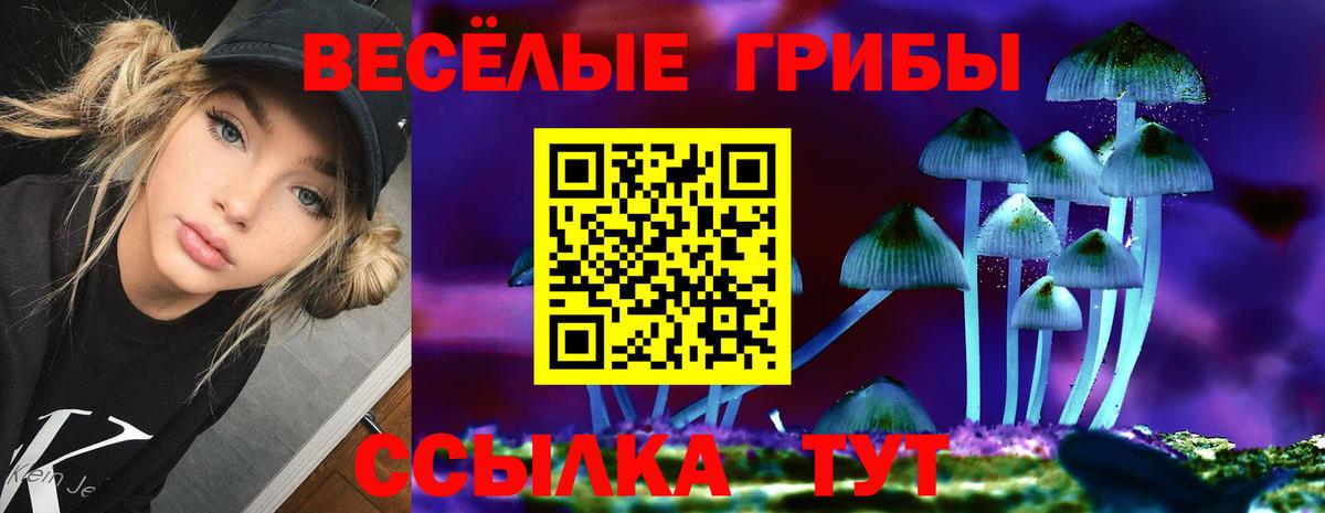 продажа наркотиков  Галлюциногенные грибы Psilocybe  Вход с VPN  Электросталь  Галлюциногенные грибы мицелий 